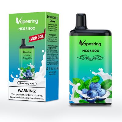 拋棄式電子煙品牌 Vapesring M